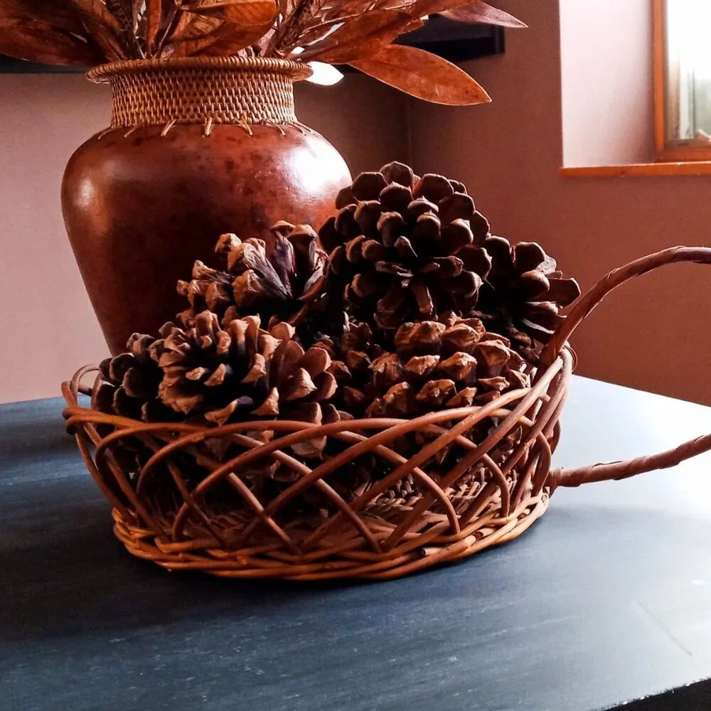 Unique Vintage Round Willow/Wicker/Rattan Basket Tray w/1 Handle Decor Boho Chic